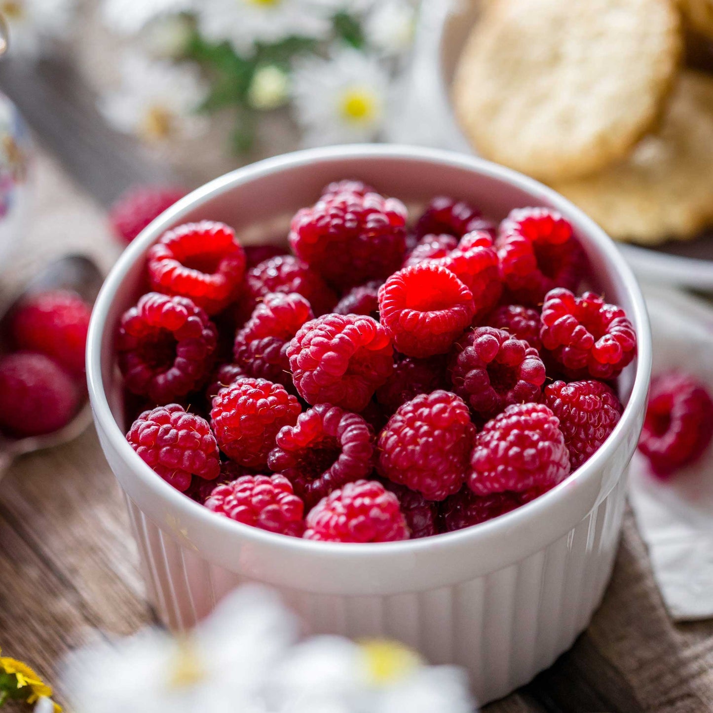  Heritage Raspberry