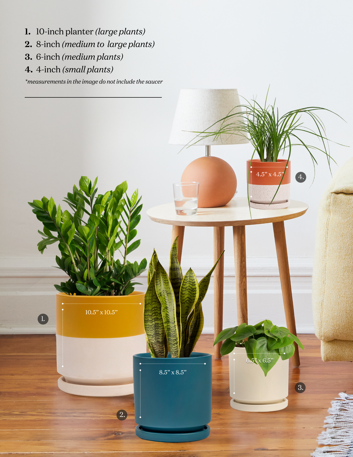  Isabella Planter