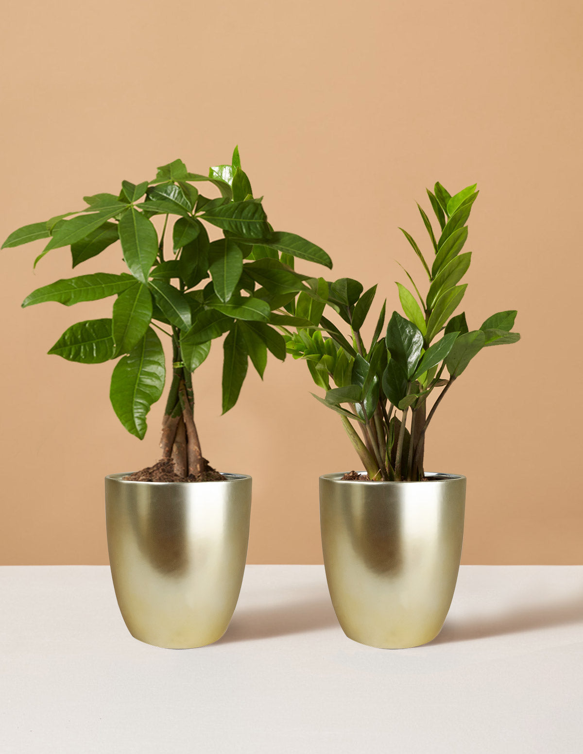  The Easy Care Duo
