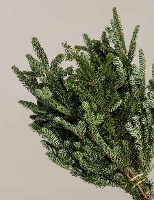  Holiday Bough Bundles