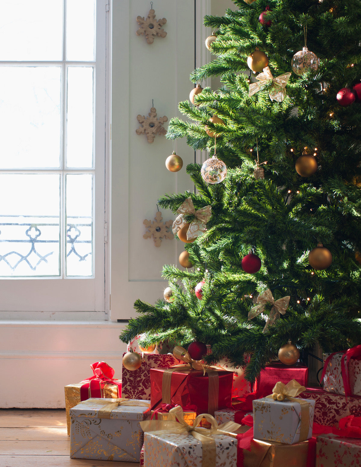  6 Ft. Fraser Fir Tree (Live Cut)