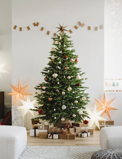  6 Ft. Fraser Fir Tree (Live Cut)
