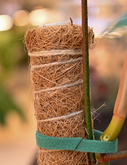  Coco Coir Pole