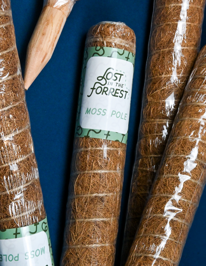  Coco Coir Pole