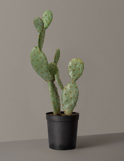 Faux Cactus