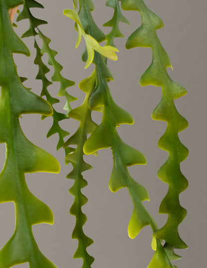  Faux Hanging Ric Rac Cactus
