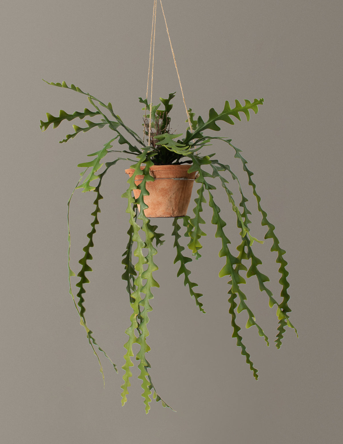  Faux Hanging Ric Rac Cactus