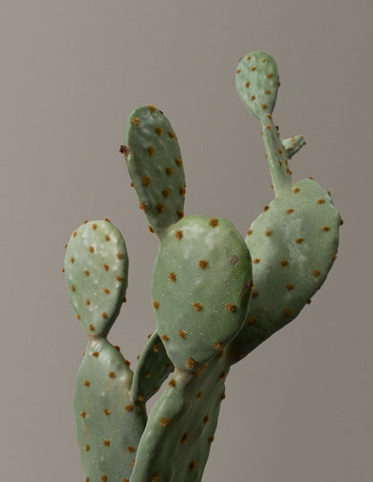  Faux Cactus