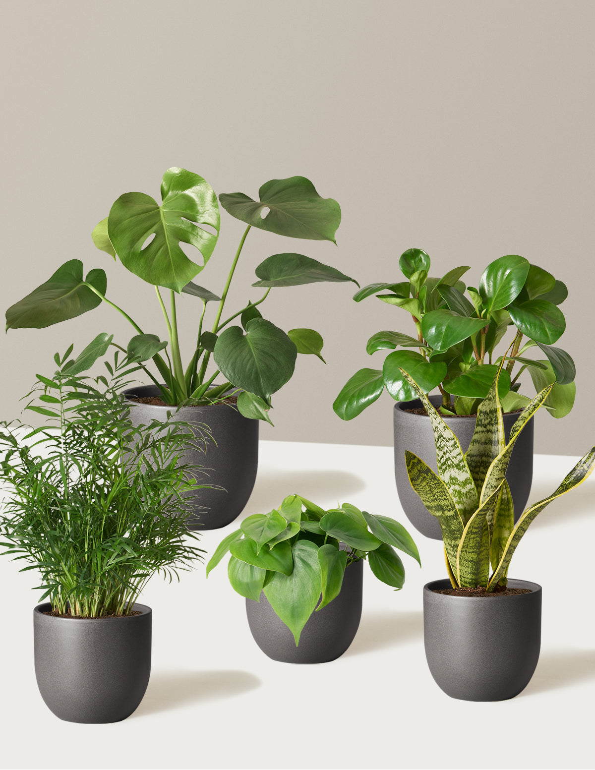  The Favorite 5 Bundle