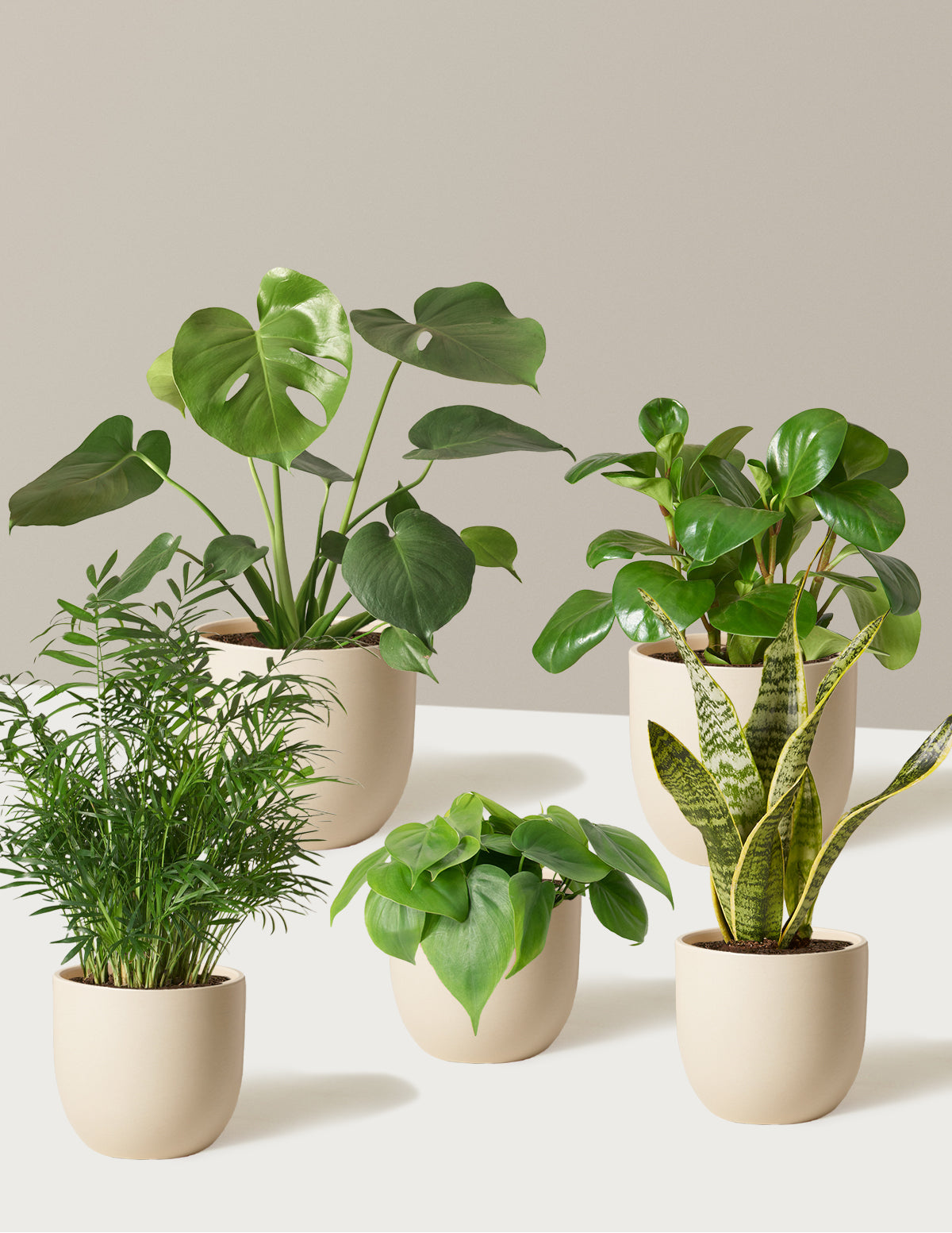  The Favorite 5 Bundle