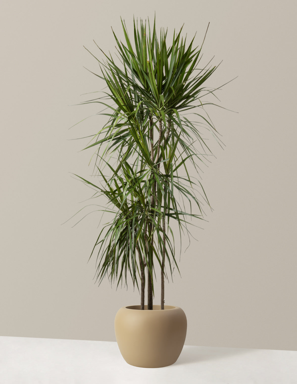  Large Helena Planter