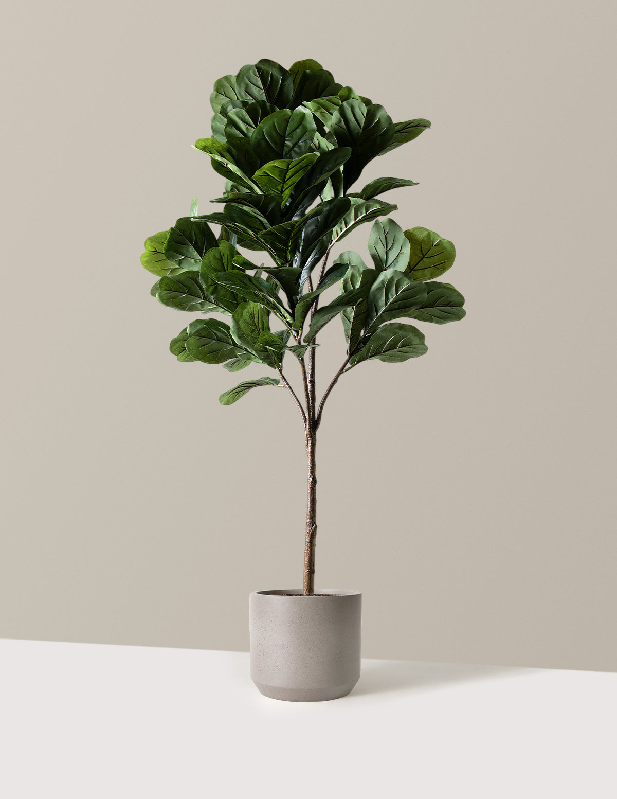  Faux Fiddle Leaf Fig Tree