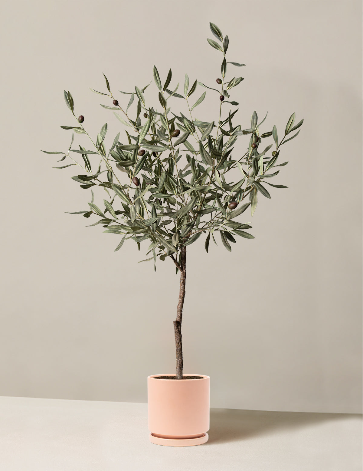  Faux Olive Tree