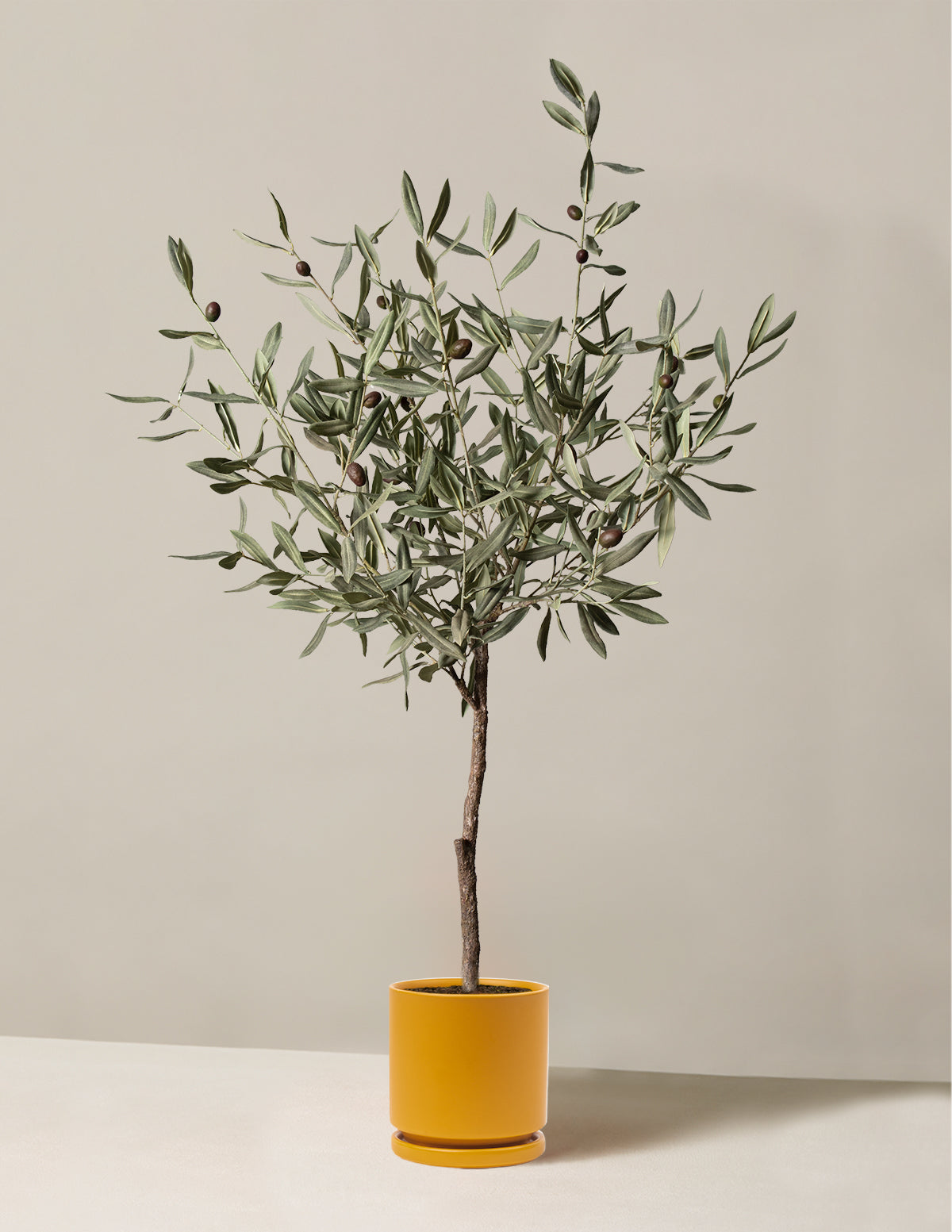  Faux Olive Tree