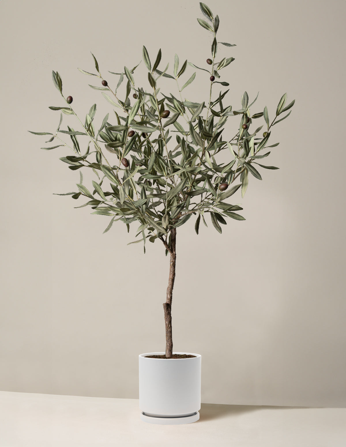  Faux Olive Tree