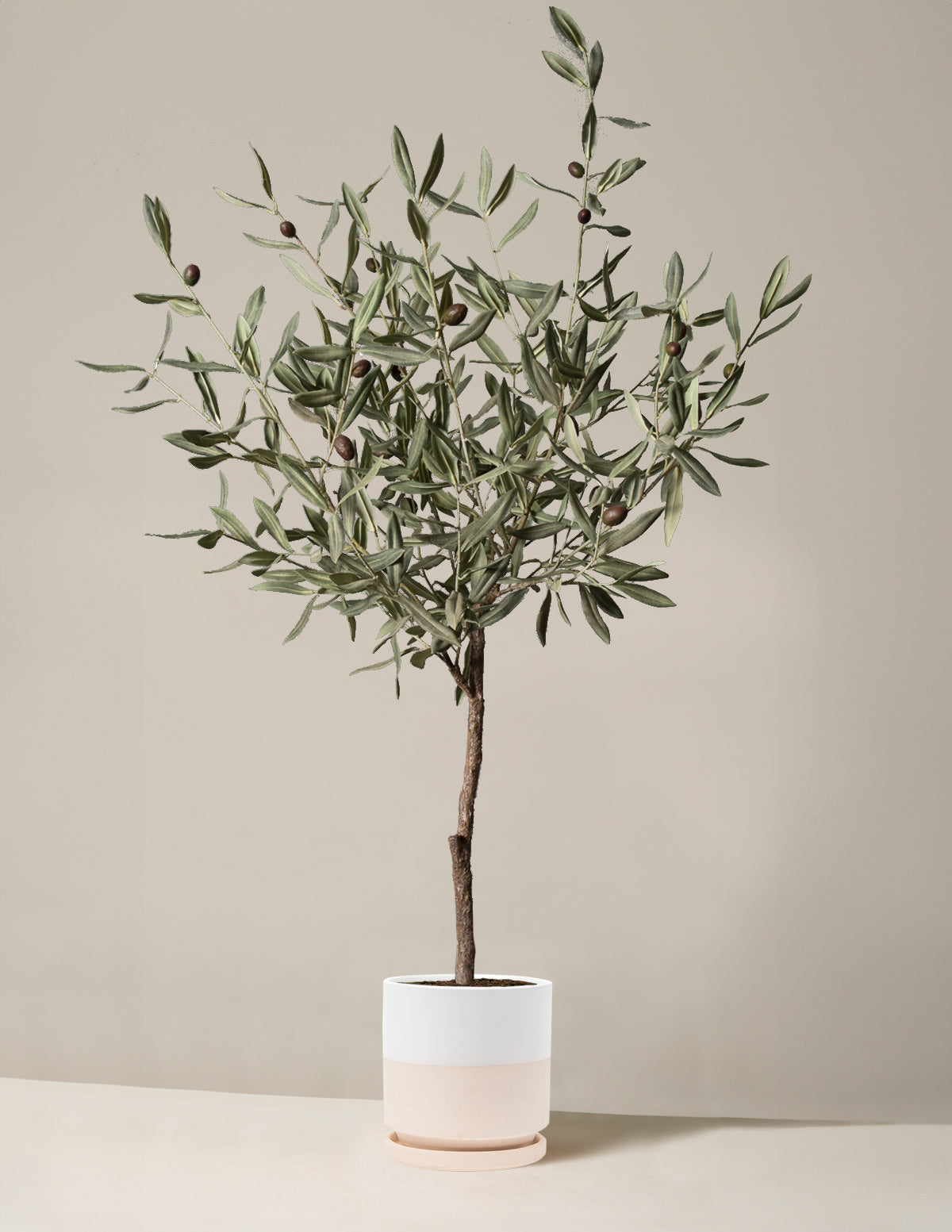  Faux Olive Tree