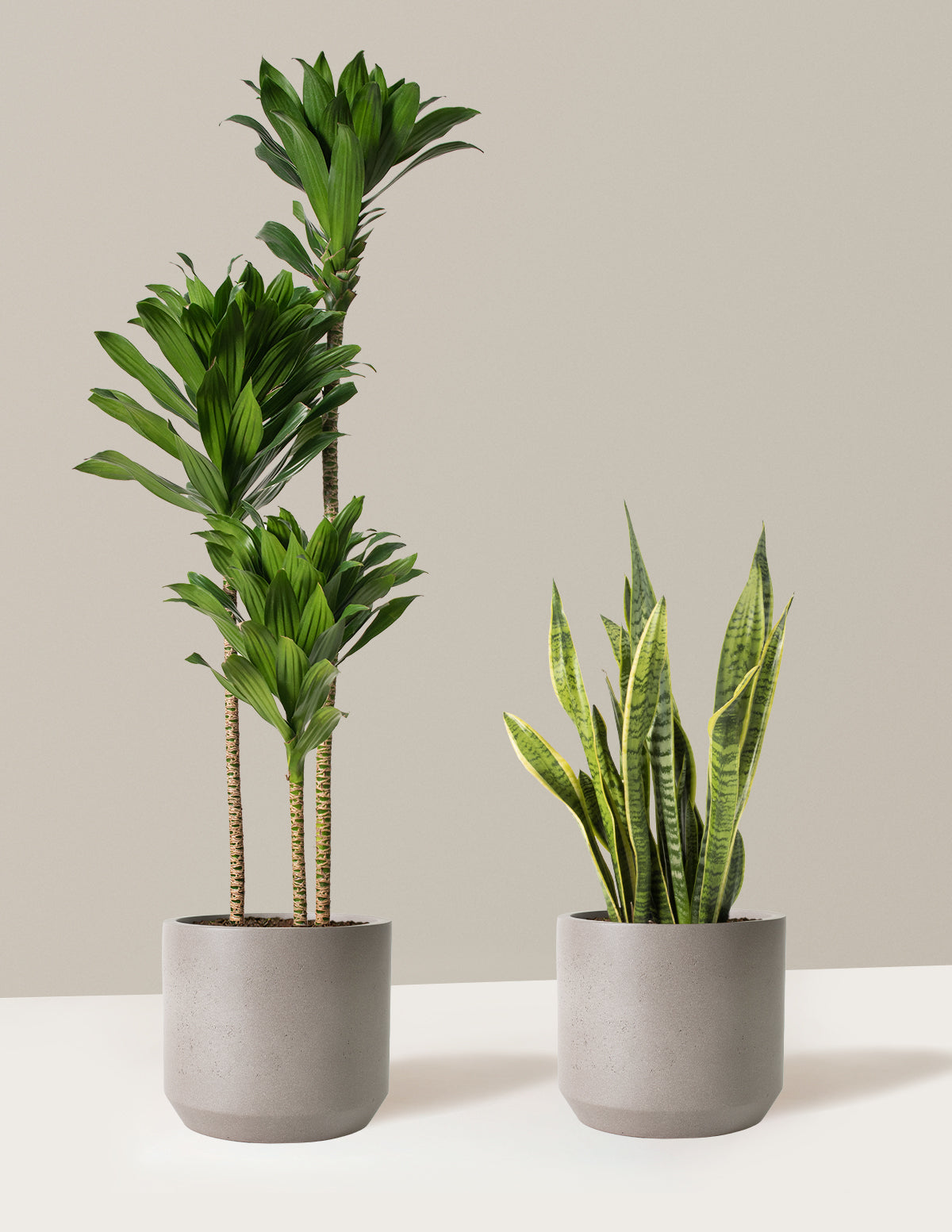  Modern Office Duo