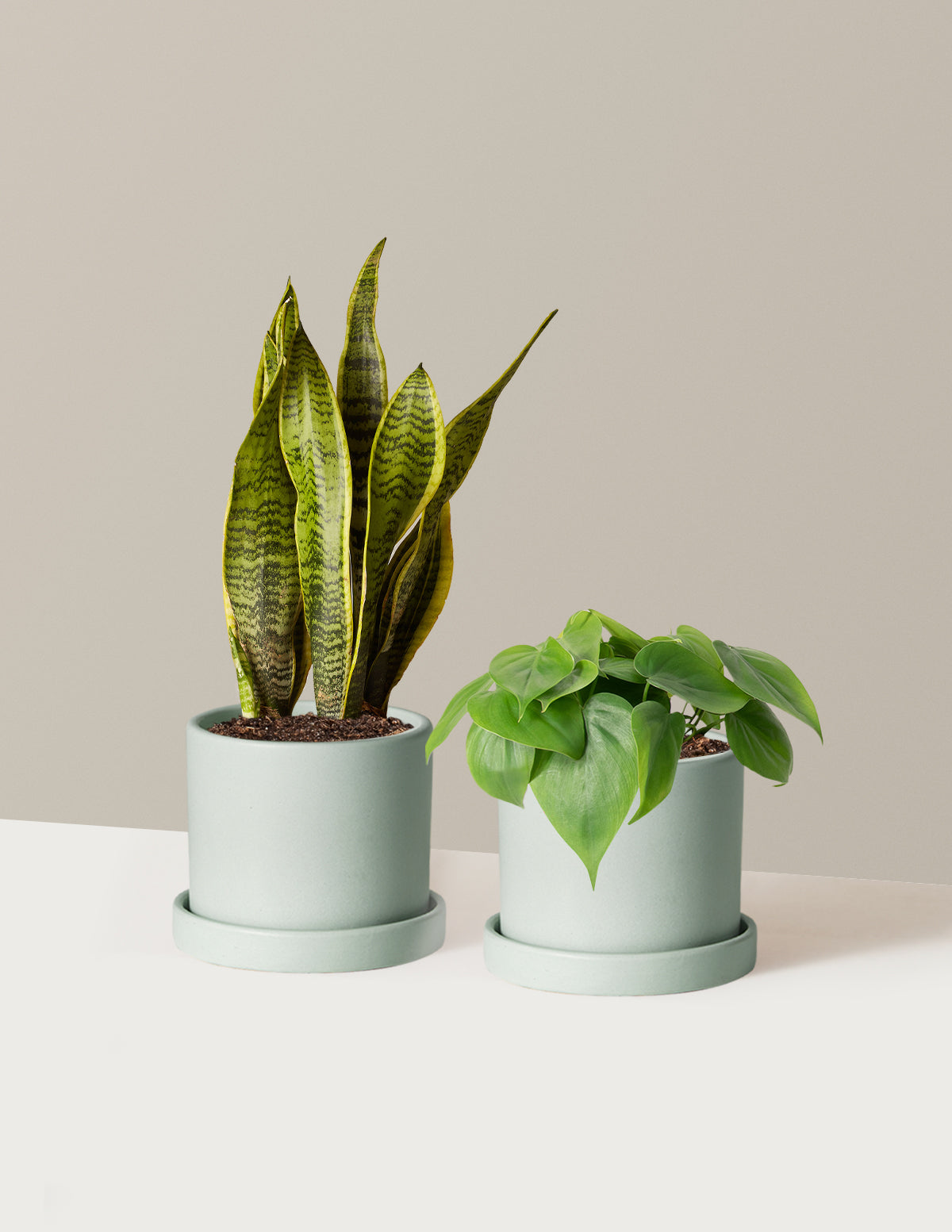 Living Room Duo
