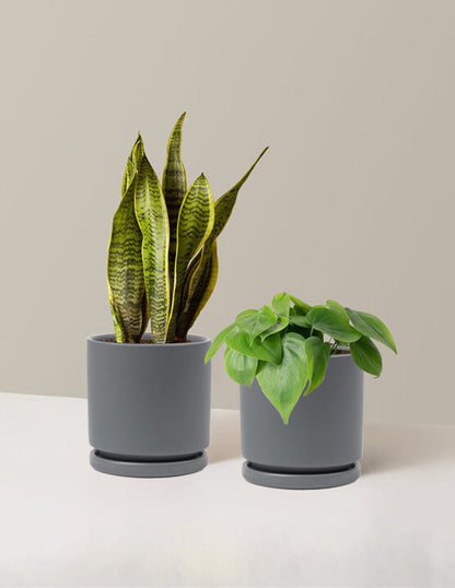  Living Room Duo