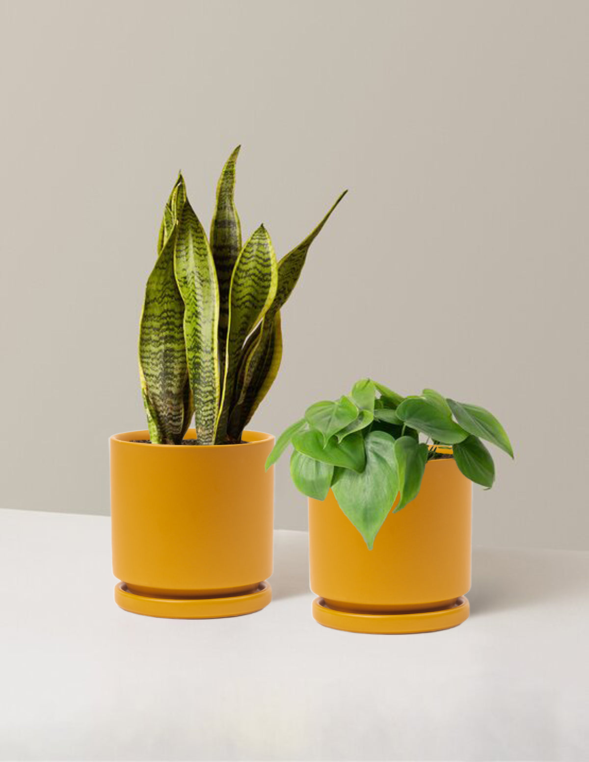  Living Room Duo