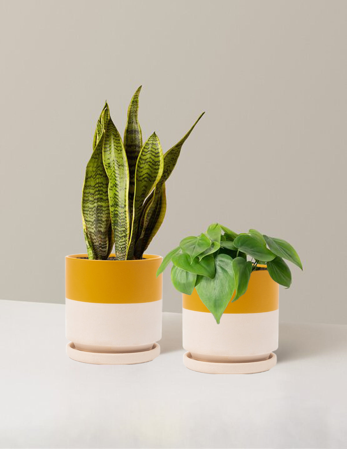  Living Room Duo