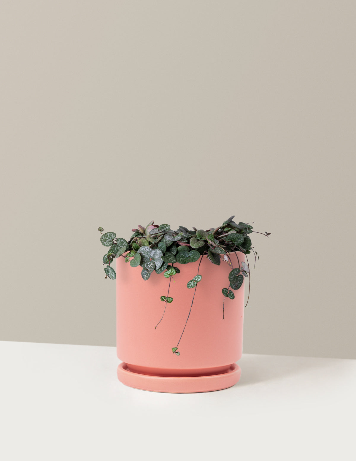  String Of Hearts