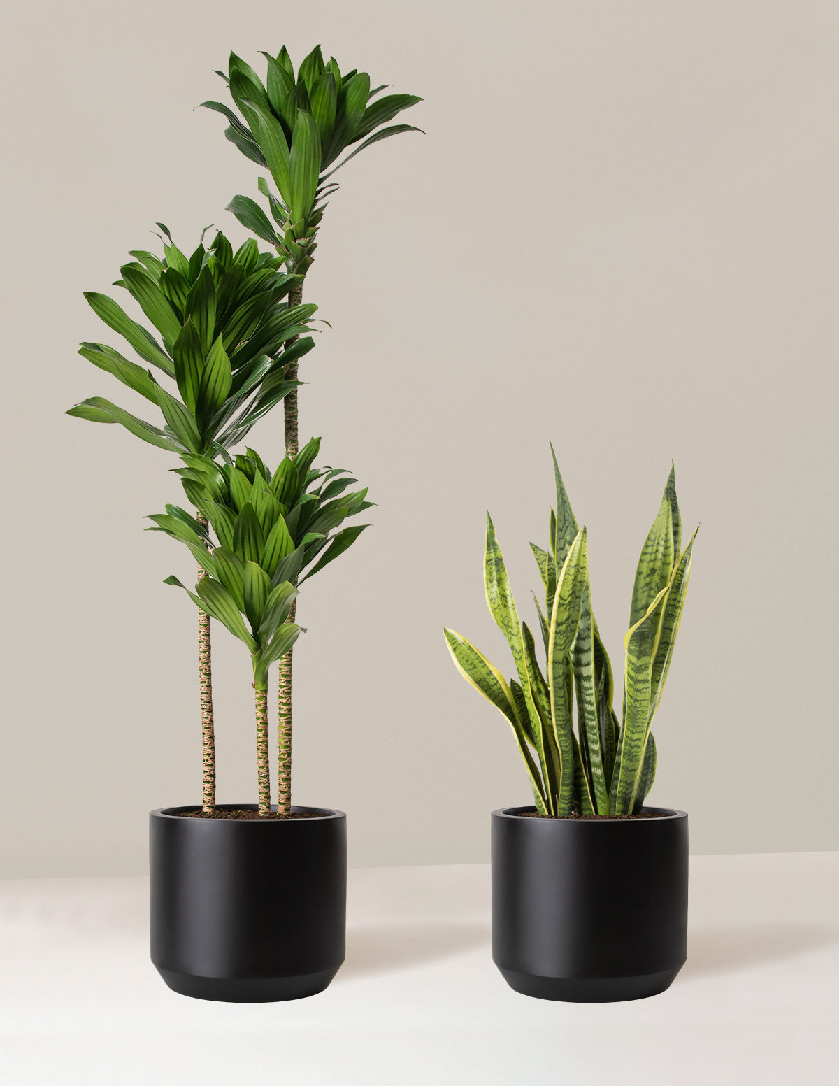  Modern Office Duo