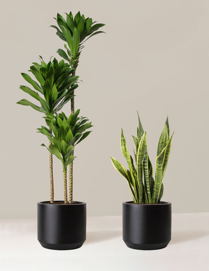  Modern Office Duo