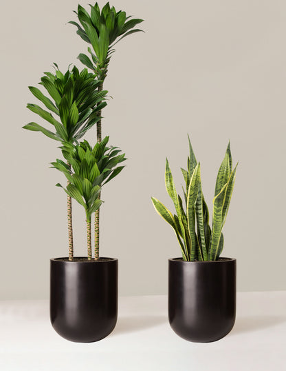  Modern Office Duo