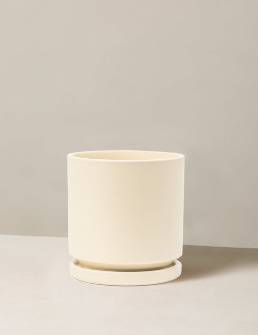  Isabella Planter