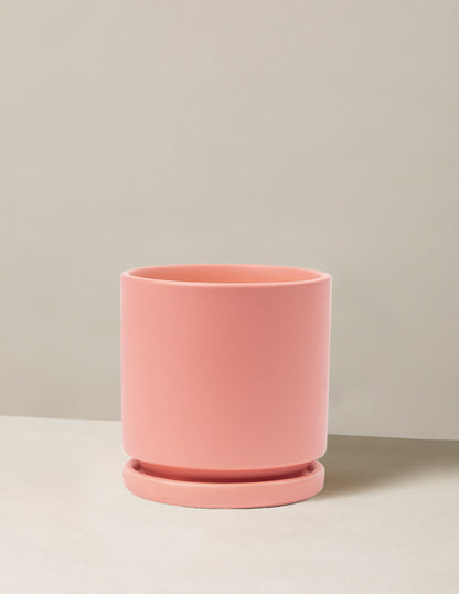  Isabella Planter