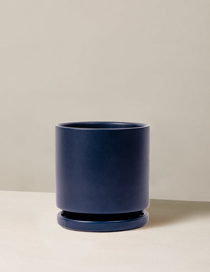  Isabella Planter