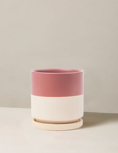  Isabella Planter