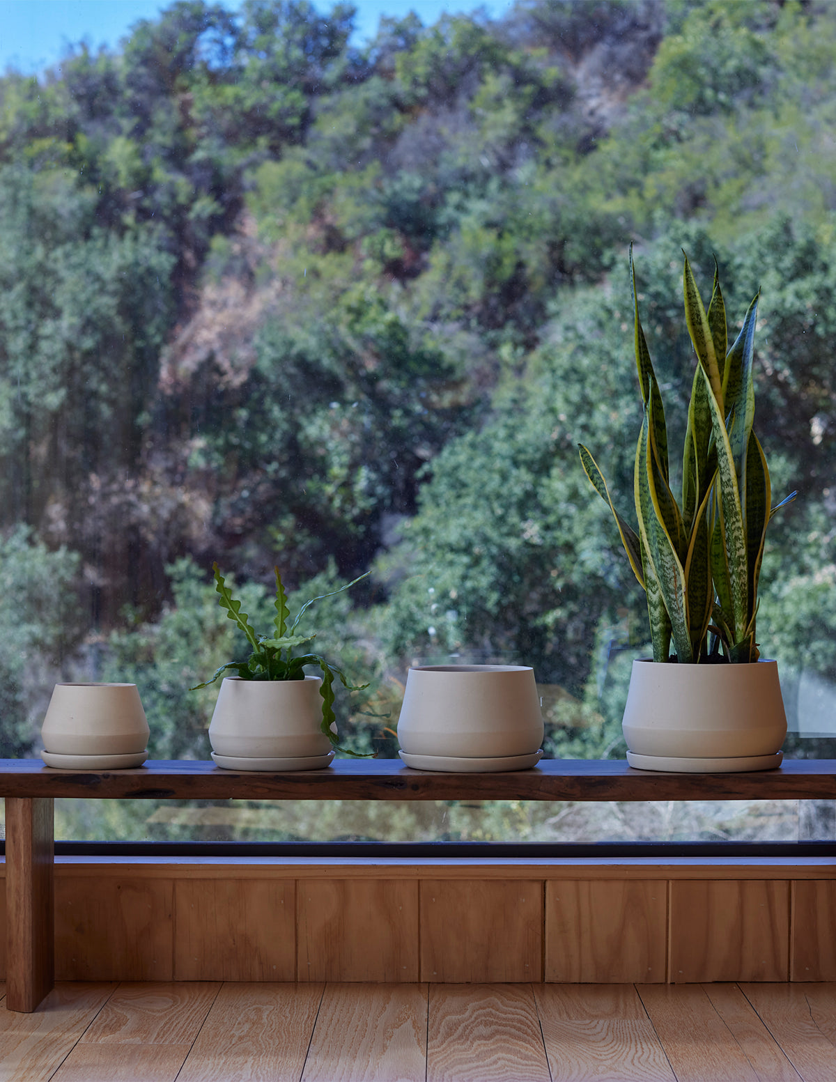  The Rancho Planter