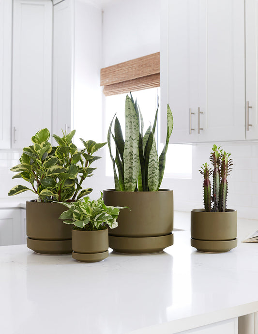  Round Two Planter