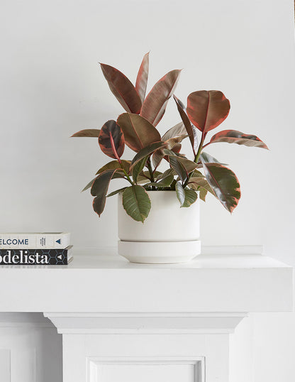  Round Two Planter