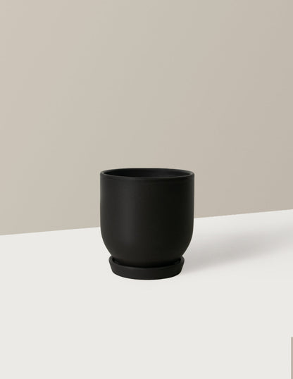  Westcott Planter