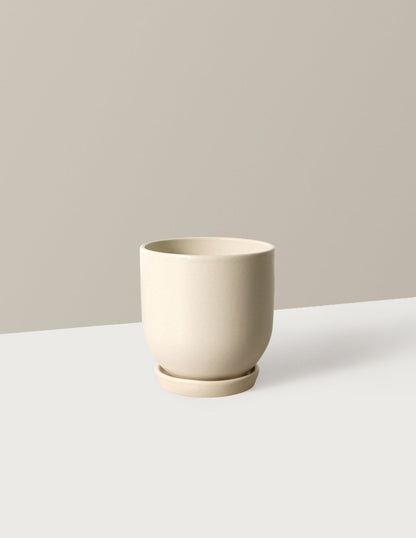  Westcott Planter