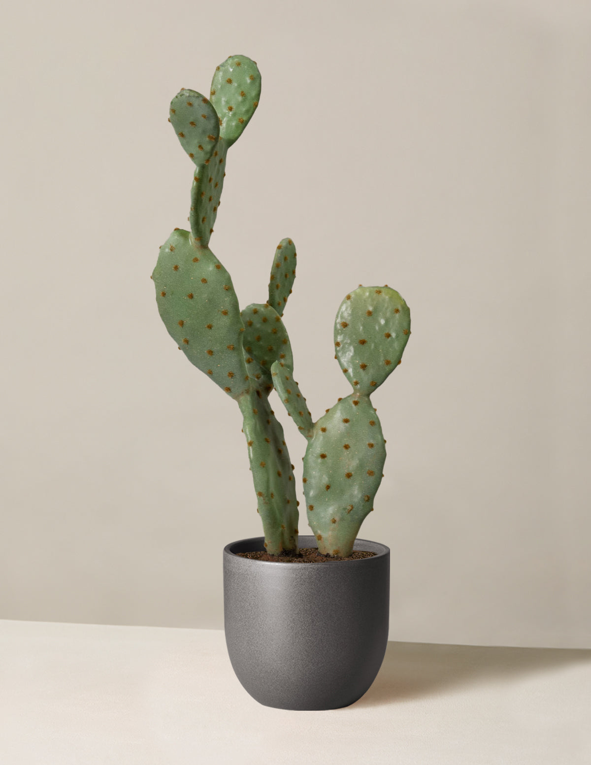  Faux Cactus
