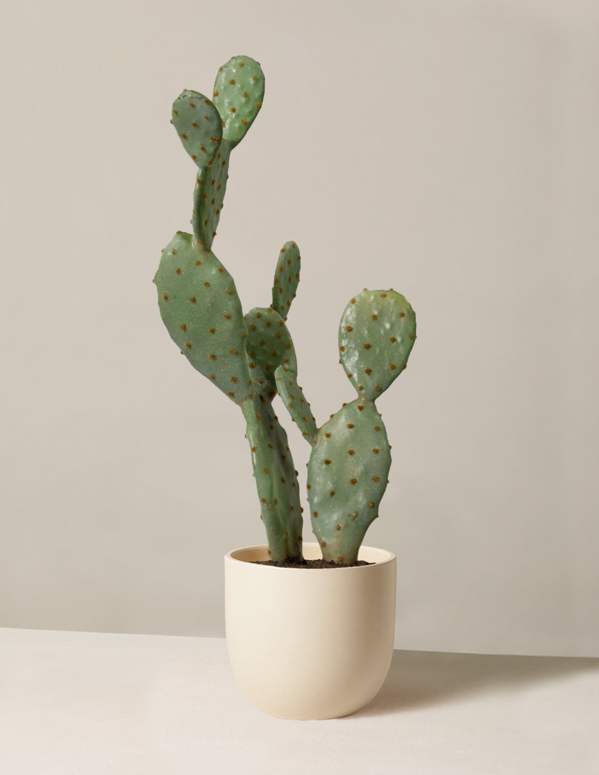  Faux Cactus