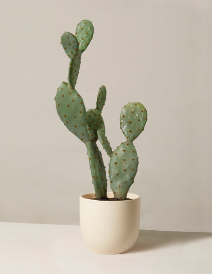  Faux Cactus