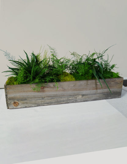  Preserved Moss & Fern Box