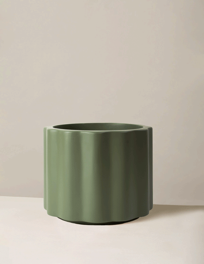  Balboa Planter