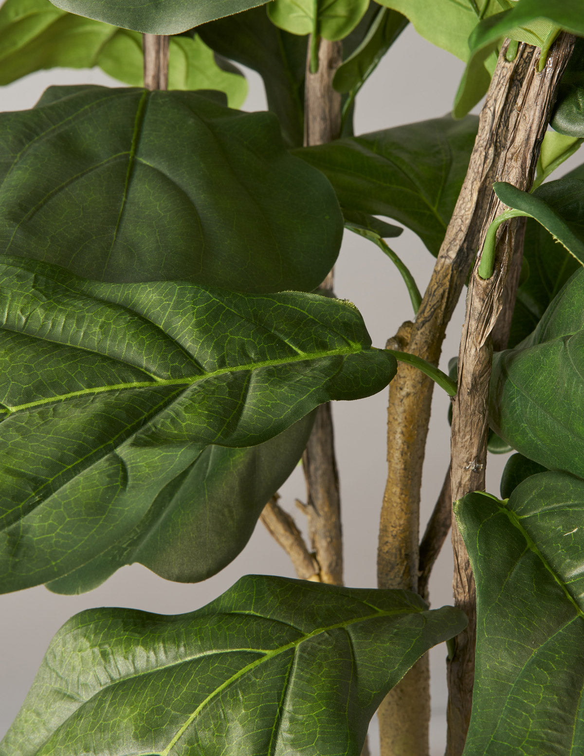  Faux Fiddle Leaf Fig Tree