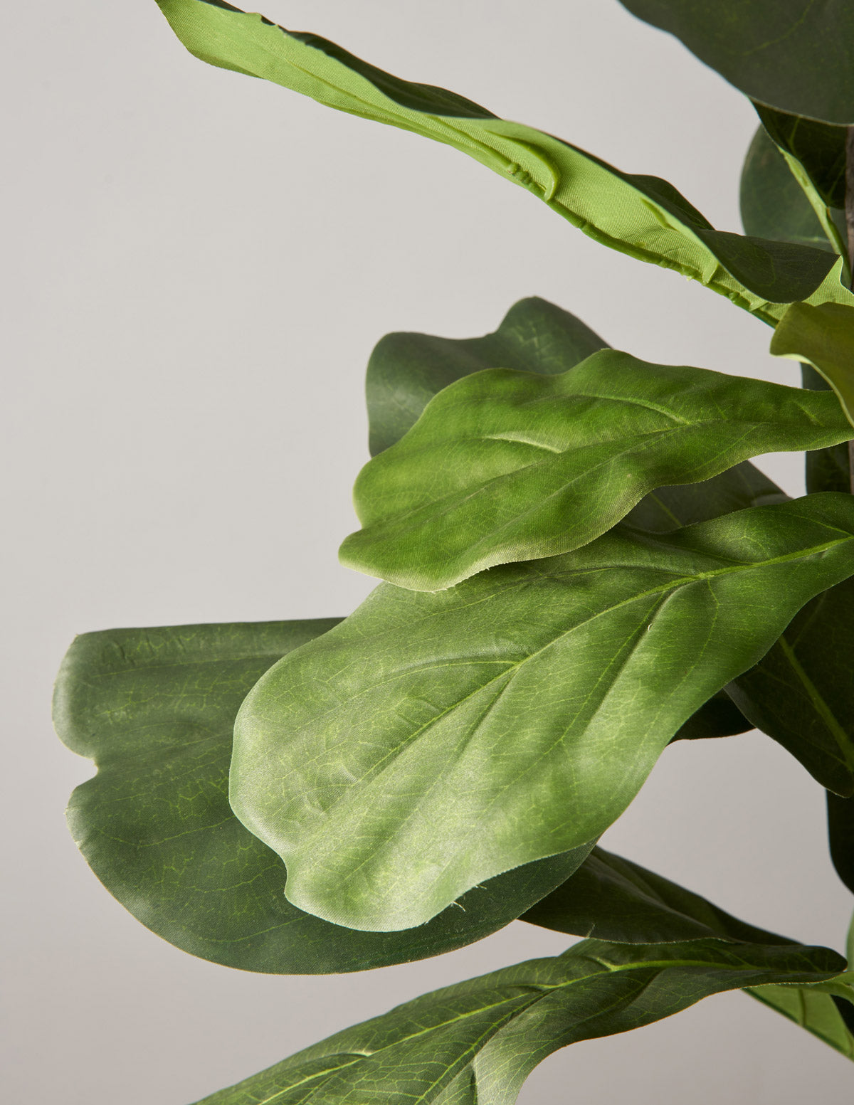  Faux Fiddle Leaf Fig Tree