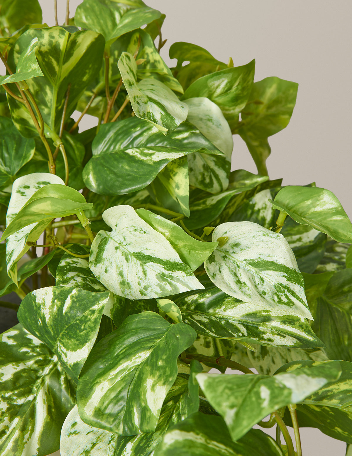  Faux Pothos Plant