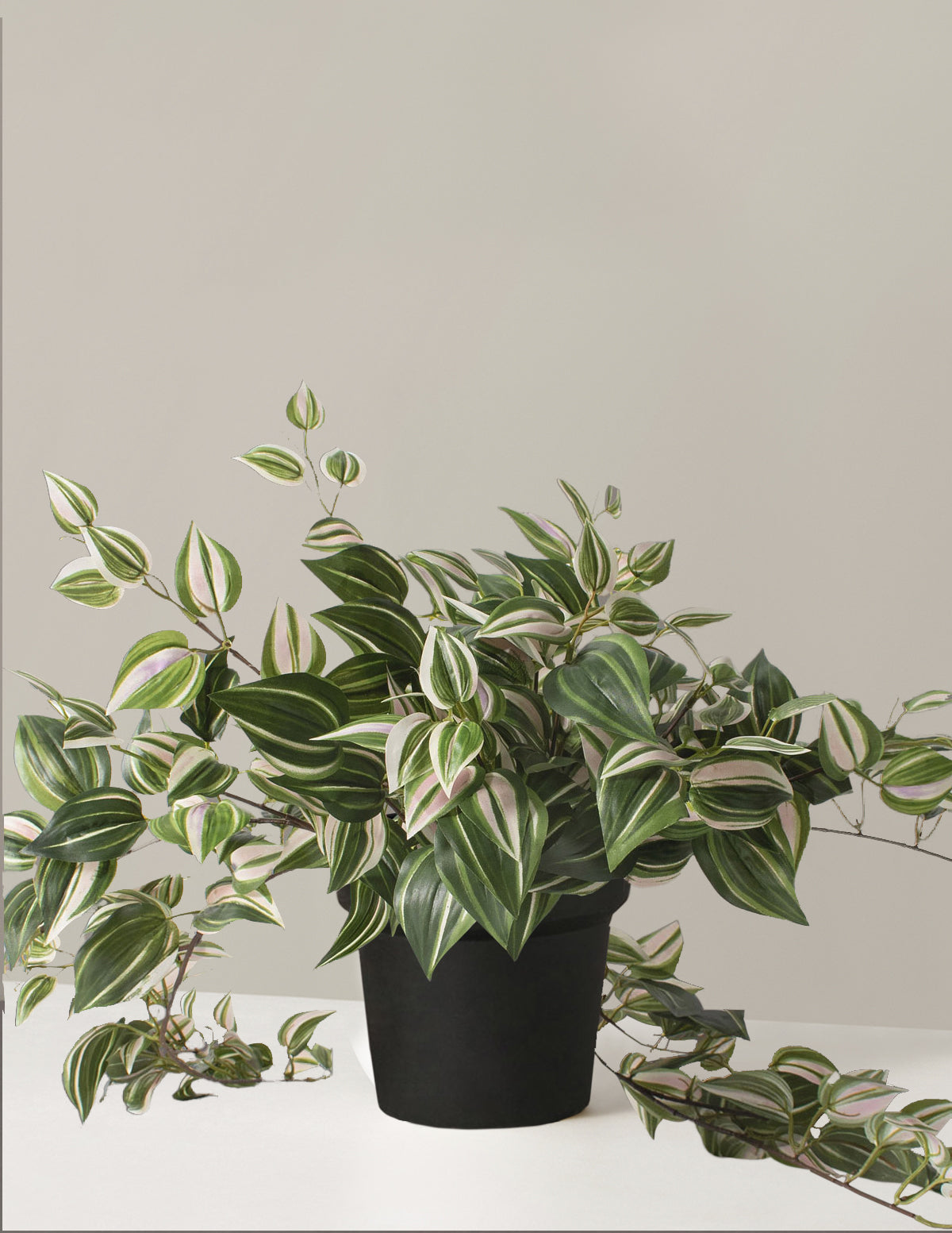  Faux Tradescantia Zebrina