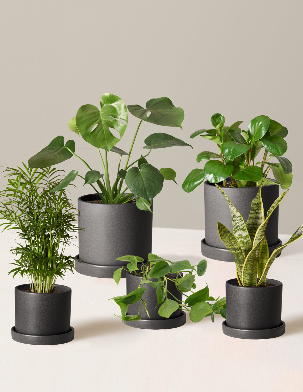  The Favorite 5 Bundle