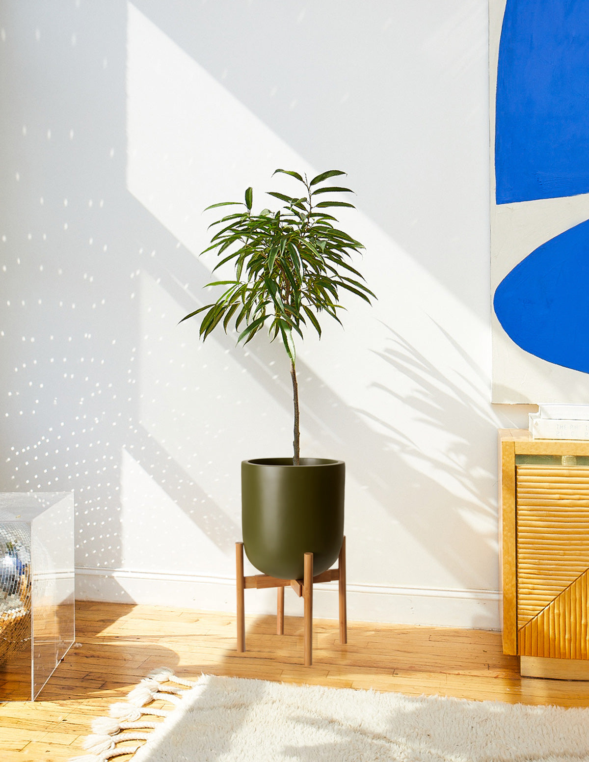  Large Pallas Planter