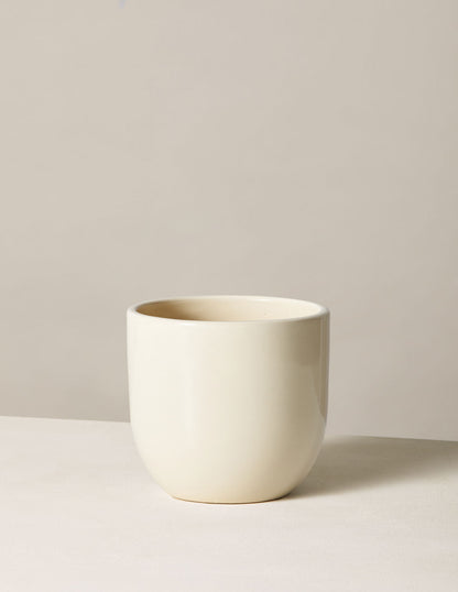  Grant Planter